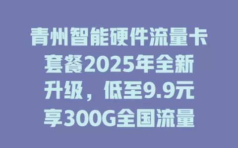 青州智能硬件流量卡套餐2025年全新升级，低至9.9元享300G全国流量！