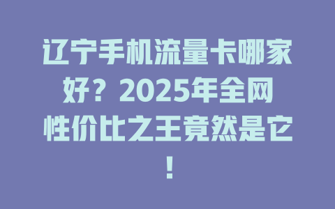 辽宁手机流量卡哪家好？2025年全网性价比之王竟然是它！
