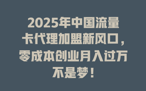 2025年中国流量卡代理加盟新风口，零成本创业月入过万不是梦！