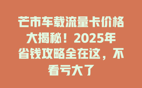 芒市车载流量卡价格大揭秘！2025年省钱攻略全在这，不看亏大了