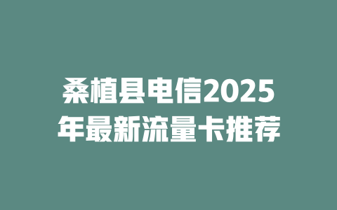 桑植县电信2025年最新流量卡推荐
