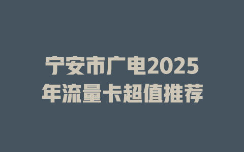 宁安市广电2025年流量卡超值推荐