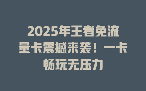 2025年王者免流量卡震撼来袭！一卡畅玩无压力