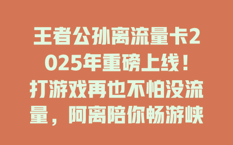 王者公孙离流量卡2025年重磅上线！打游戏再也不怕没流量，阿离陪你畅游峡谷！