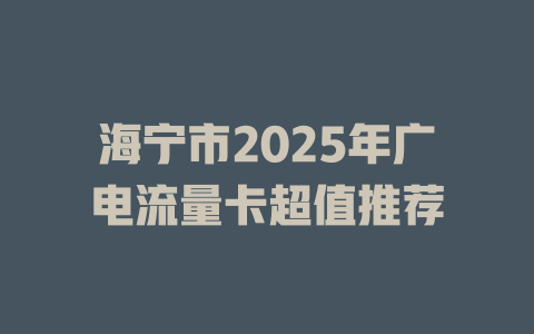 海宁市2025年广电流量卡超值推荐