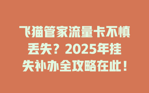 飞猫管家流量卡不慎丢失？2025年挂失补办全攻略在此！