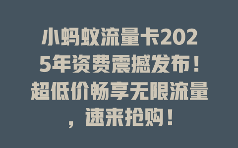 小蚂蚁流量卡2025年资费震撼发布！超低价畅享无限流量，速来抢购！