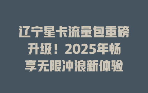 辽宁星卡流量包重磅升级！2025年畅享无限冲浪新体验