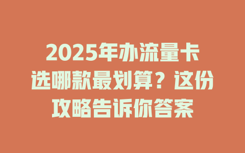 2025年办流量卡选哪款最划算？这份攻略告诉你答案
