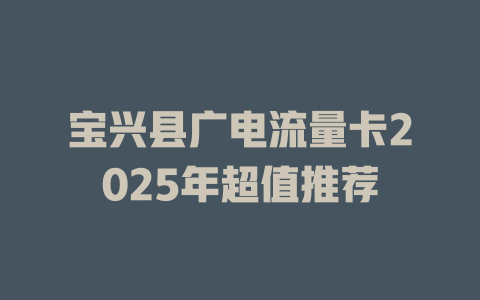 宝兴县广电流量卡2025年超值推荐