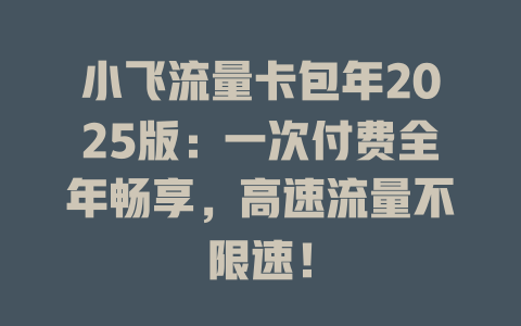 小飞流量卡包年2025版：一次付费全年畅享，高速流量不限速！