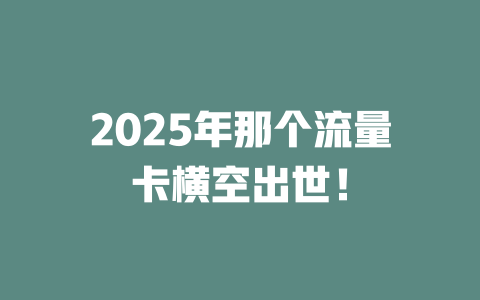 2025年那个流量卡横空出世！