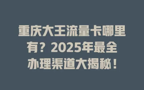 重庆大王流量卡哪里有？2025年最全办理渠道大揭秘！