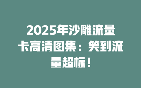 2025年沙雕流量卡高清图集：笑到流量超标！