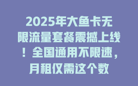 2025年大鱼卡无限流量套餐震撼上线！全国通用不限速，月租仅需这个数