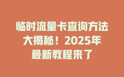 临时流量卡查询方法大揭秘！2025年最新教程来了
