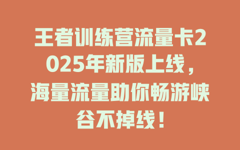 王者训练营流量卡2025年新版上线，海量流量助你畅游峡谷不掉线！