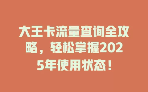 大王卡流量查询全攻略，轻松掌握2025年使用状态！