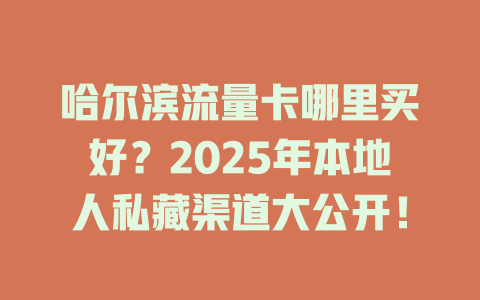 哈尔滨流量卡哪里买好？2025年本地人私藏渠道大公开！