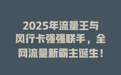 2025年流量王与风行卡强强联手，全网流量新霸主诞生！