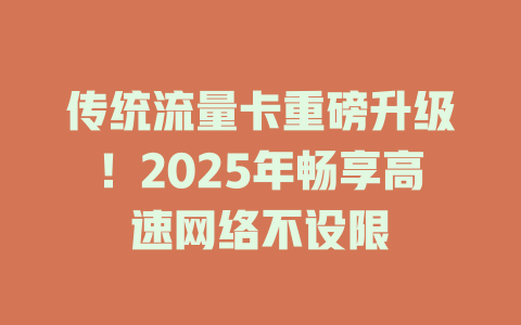 传统流量卡重磅升级！2025年畅享高速网络不设限