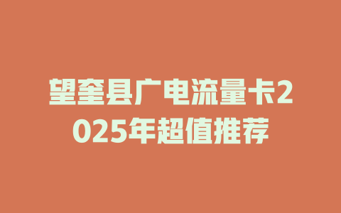 望奎县广电流量卡2025年超值推荐
