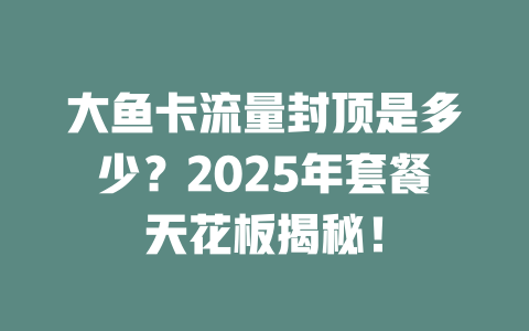 大鱼卡流量封顶是多少？2025年套餐天花板揭秘！