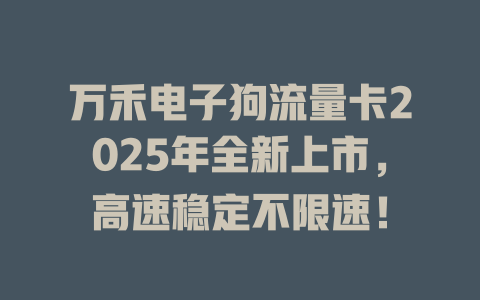万禾电子狗流量卡2025年全新上市，高速稳定不限速！