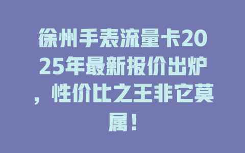 徐州手表流量卡2025年最新报价出炉，性价比之王非它莫属！