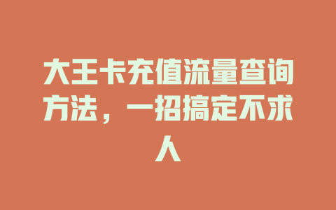 大王卡充值流量查询方法，一招搞定不求人