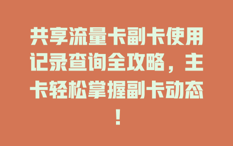 共享流量卡副卡使用记录查询全攻略，主卡轻松掌握副卡动态！