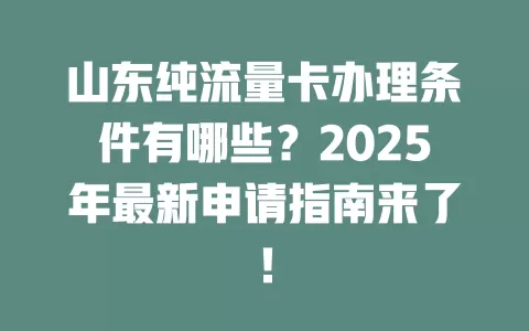山东纯流量卡办理条件有哪些？2025年最新申请指南来了！