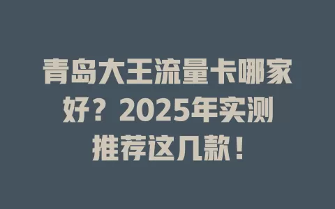 青岛大王流量卡哪家好？2025年实测推荐这几款！