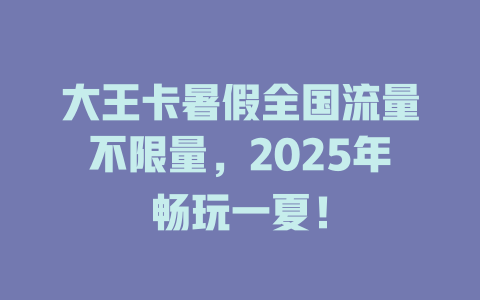 大王卡暑假全国流量不限量，2025年畅玩一夏！