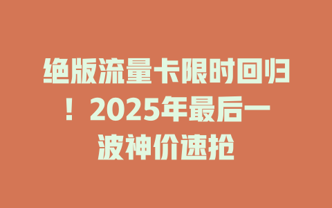 绝版流量卡限时回归！2025年最后一波神价速抢