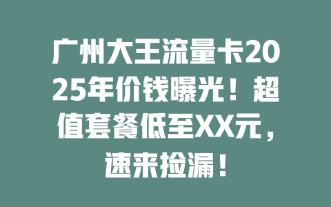 广州大王流量卡2025年价钱曝光！超值套餐低至XX元，速来捡漏！