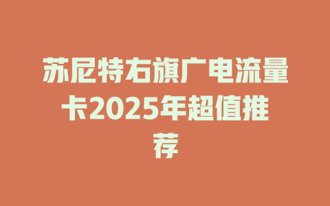 苏尼特右旗广电流量卡2025年超值推荐
