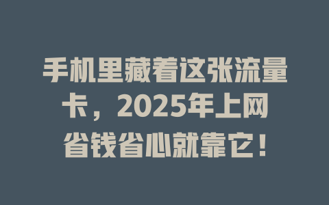 手机里藏着这张流量卡，2025年上网省钱省心就靠它！