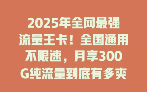 2025年全网最强流量王卡！全国通用不限速，月享300G纯流量到底有多爽？