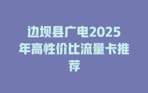 边坝县广电2025年高性价比流量卡推荐