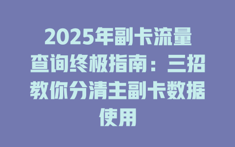 2025年副卡流量查询终极指南：三招教你分清主副卡数据使用
