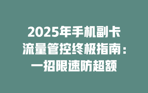 2025年手机副卡流量管控终极指南：一招限速防超额