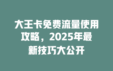 大王卡免费流量使用攻略，2025年最新技巧大公开