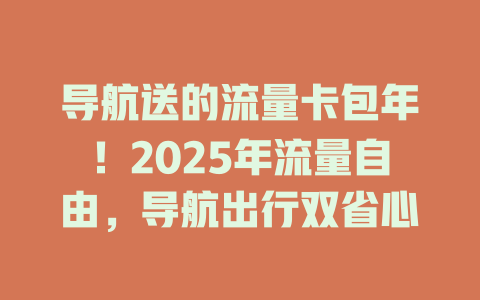 导航送的流量卡包年！2025年流量自由，导航出行双省心