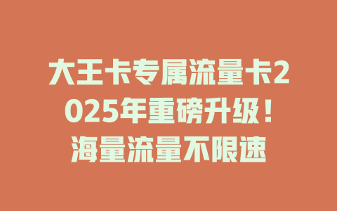 大王卡专属流量卡2025年重磅升级！海量流量不限速