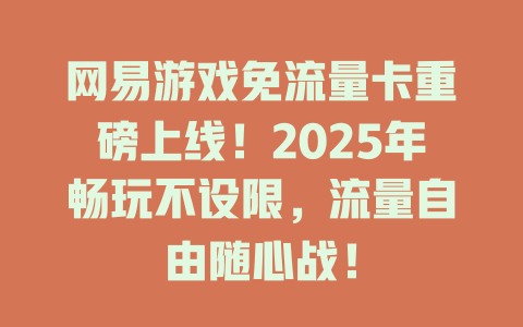 网易游戏免流量卡重磅上线！2025年畅玩不设限，流量自由随心战！