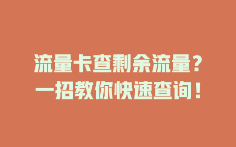 流量卡查剩余流量？一招教你快速查询！