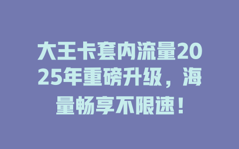 大王卡套内流量2025年重磅升级，海量畅享不限速！