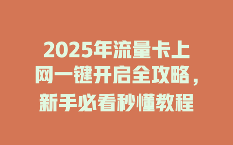 2025年流量卡上网一键开启全攻略，新手必看秒懂教程