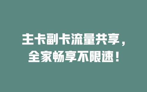 主卡副卡流量共享，全家畅享不限速！